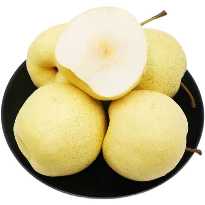 梨子山西贡梨非雪梨砀山新鲜水果整箱孕妇可吃梨