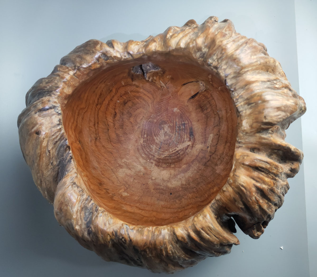 松树天然实木松脂聚宝盆原生态钥匙杂物收纳风化根雕