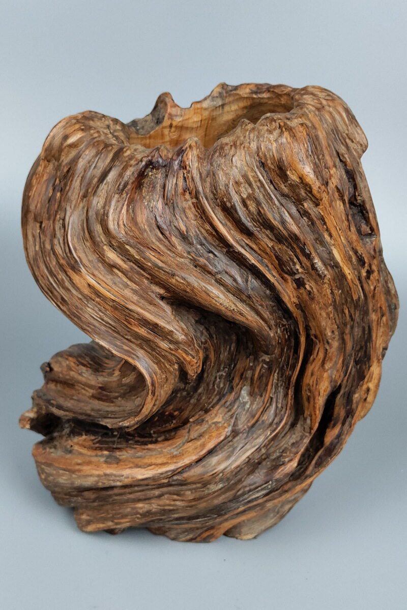 天然松瘤随形多肉枯木花盆钥匙收纳聚宝盆树木根雕创意手工存钱罐