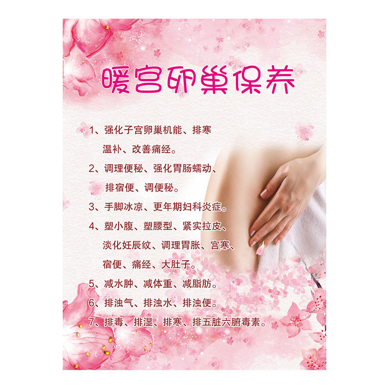 中医养生暖宫卵巢保养护理美容美体保健海报广告设计印刷写真