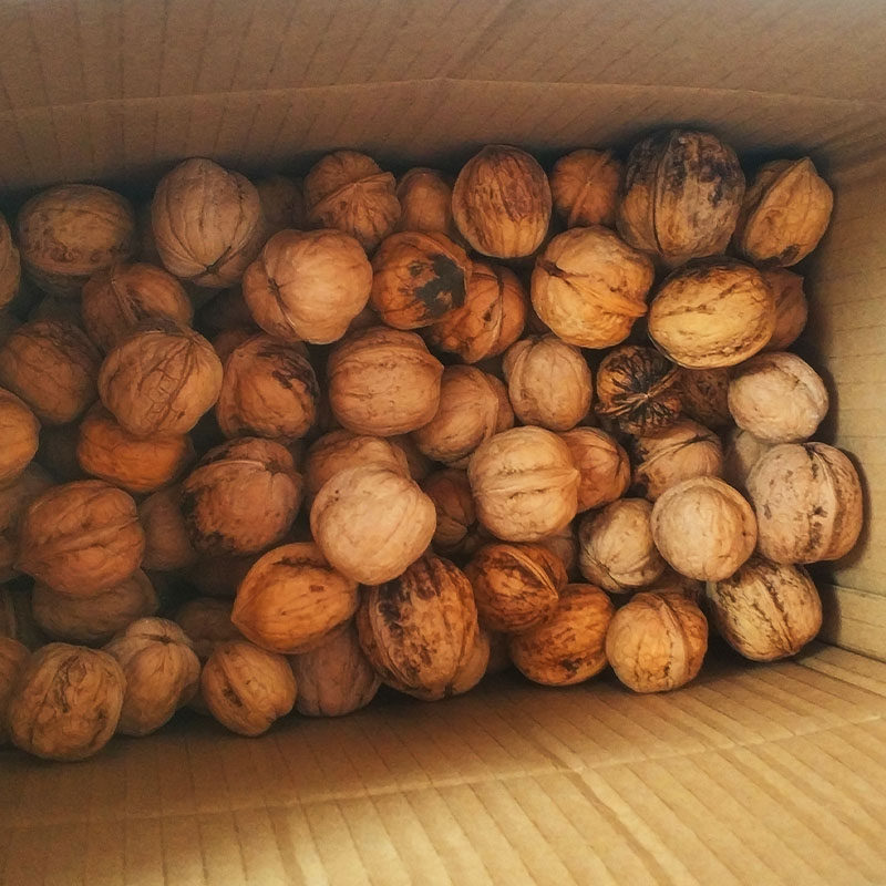 山西晋城农家厚皮硬核桃原味自然生长老品种味香非薄皮无漂白5斤