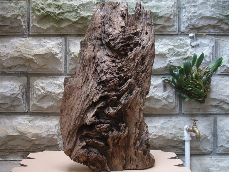 摆件树桩风化枯木根雕树根腐木老料天然根艺摆件