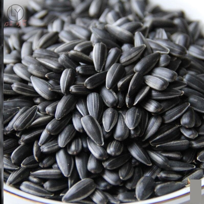 瓜子秋乡油葵黑珍珠500g小油葵花籽2斤小包袋装瓜子
