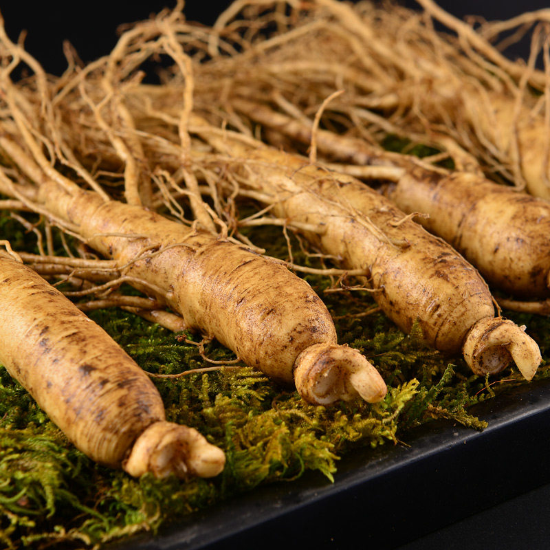 人参长白山野山吉林东北特产泡酒煲汤汤生林下人参