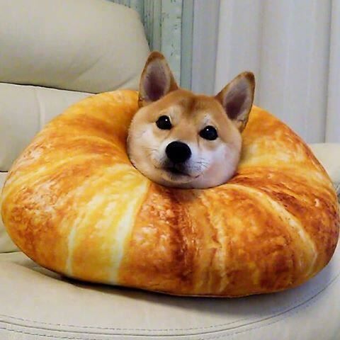 抱枕日本正品柴犬charmy同款牛角吐司面包靠垫毛绒布艺类玩具