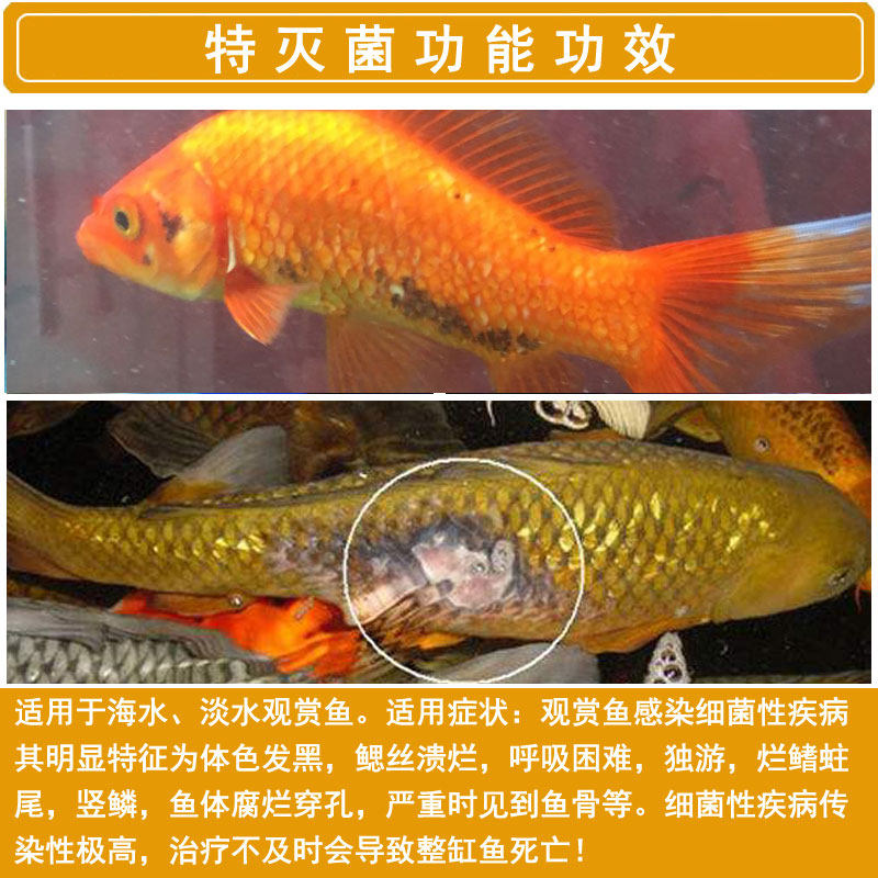 灭菌鱼药金鱼烂嘴黑斑病黑纱其他益生菌