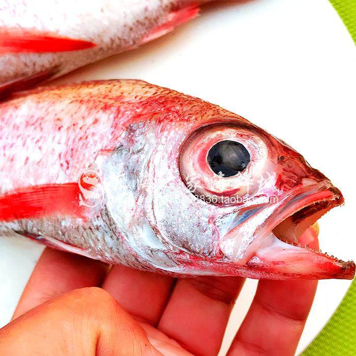 新货东海野生红果鲤赤鯥鱼冷冻红黑喉深海鱼其它