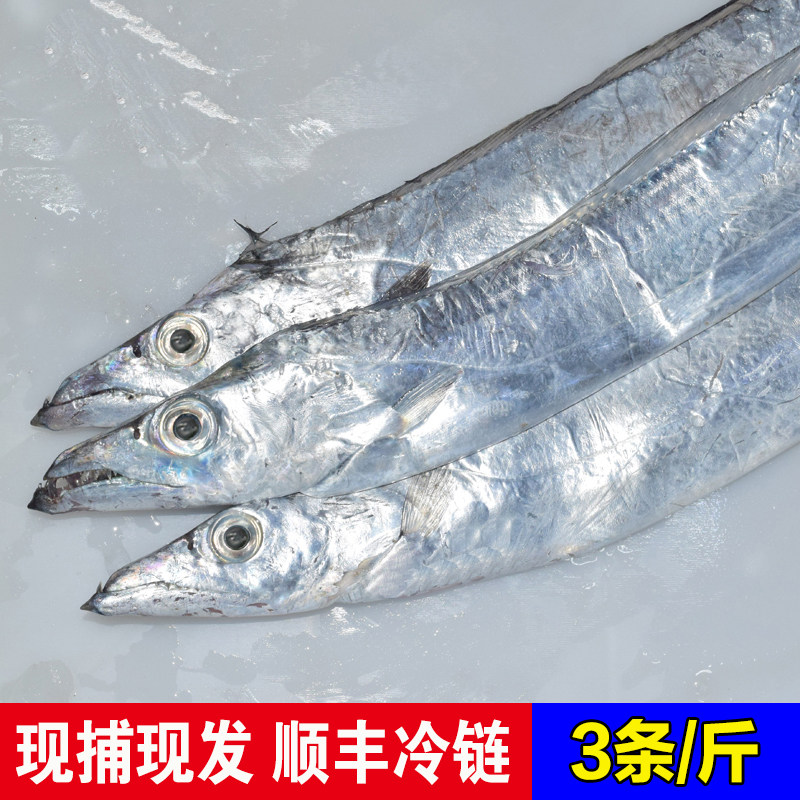 刀鱼一斤白刀鱼海鱼深海鲜活新鲜海鲜3条带鱼带鱼