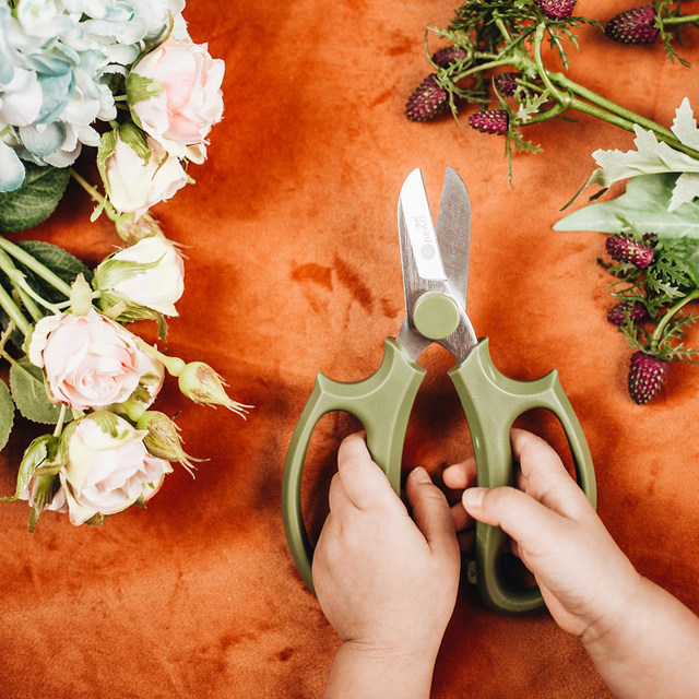 Began to take money home network red flower arrangement flower shop flower shears pruning shears dedicated florists gardening shears pruning tools Began to take money home network red flower arrangement flower shop flower shears pruning shears dedicated florists gardening shears pruning tools