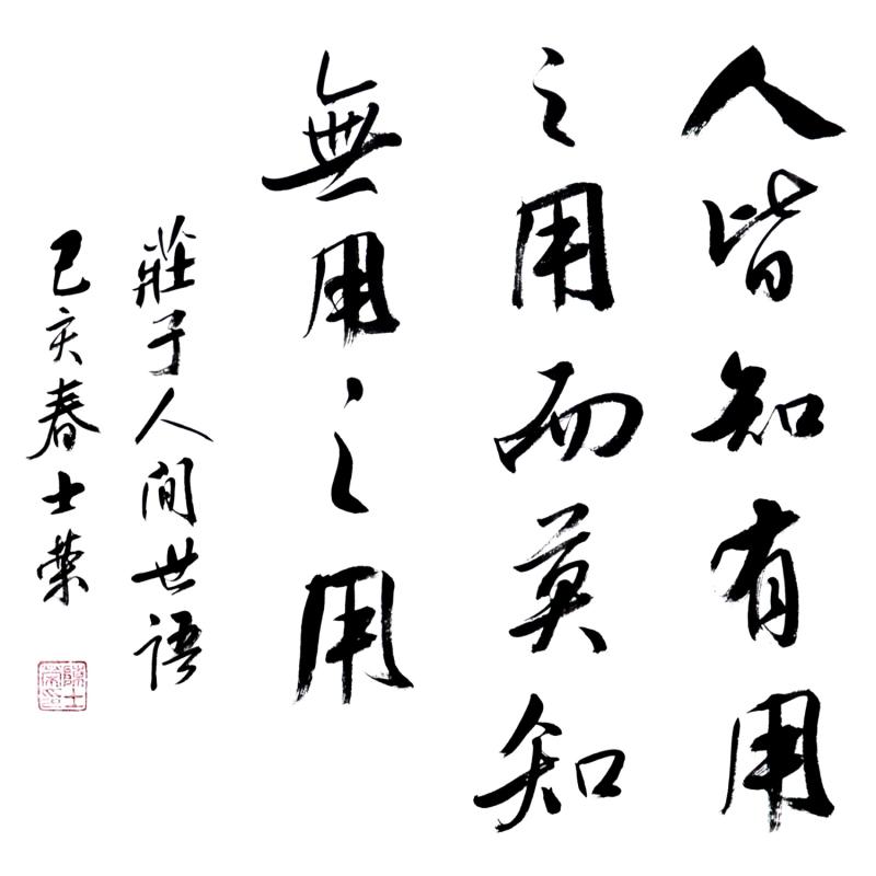 无用之人(新西兰2012年电影)_资料仓库