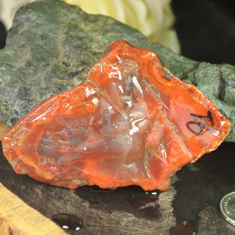 原石辽宁朝阳北票战国红缟玛瑙鸡血血红肉料摆件