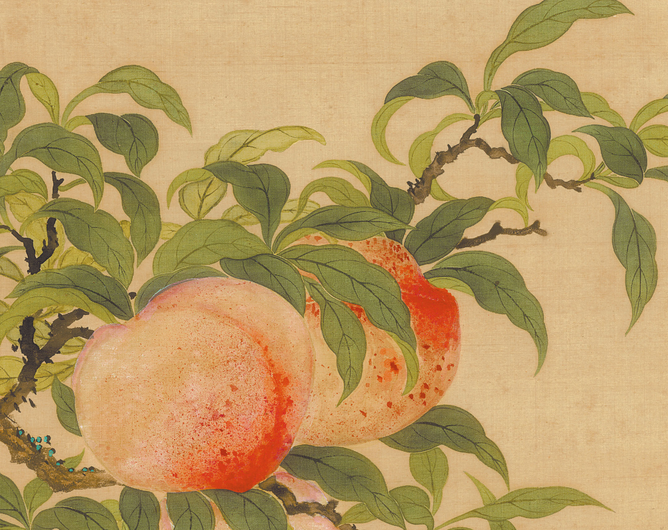 新品邹一桂蟠桃白鹤吉祥富贵竖幅客厅玄关国画国画