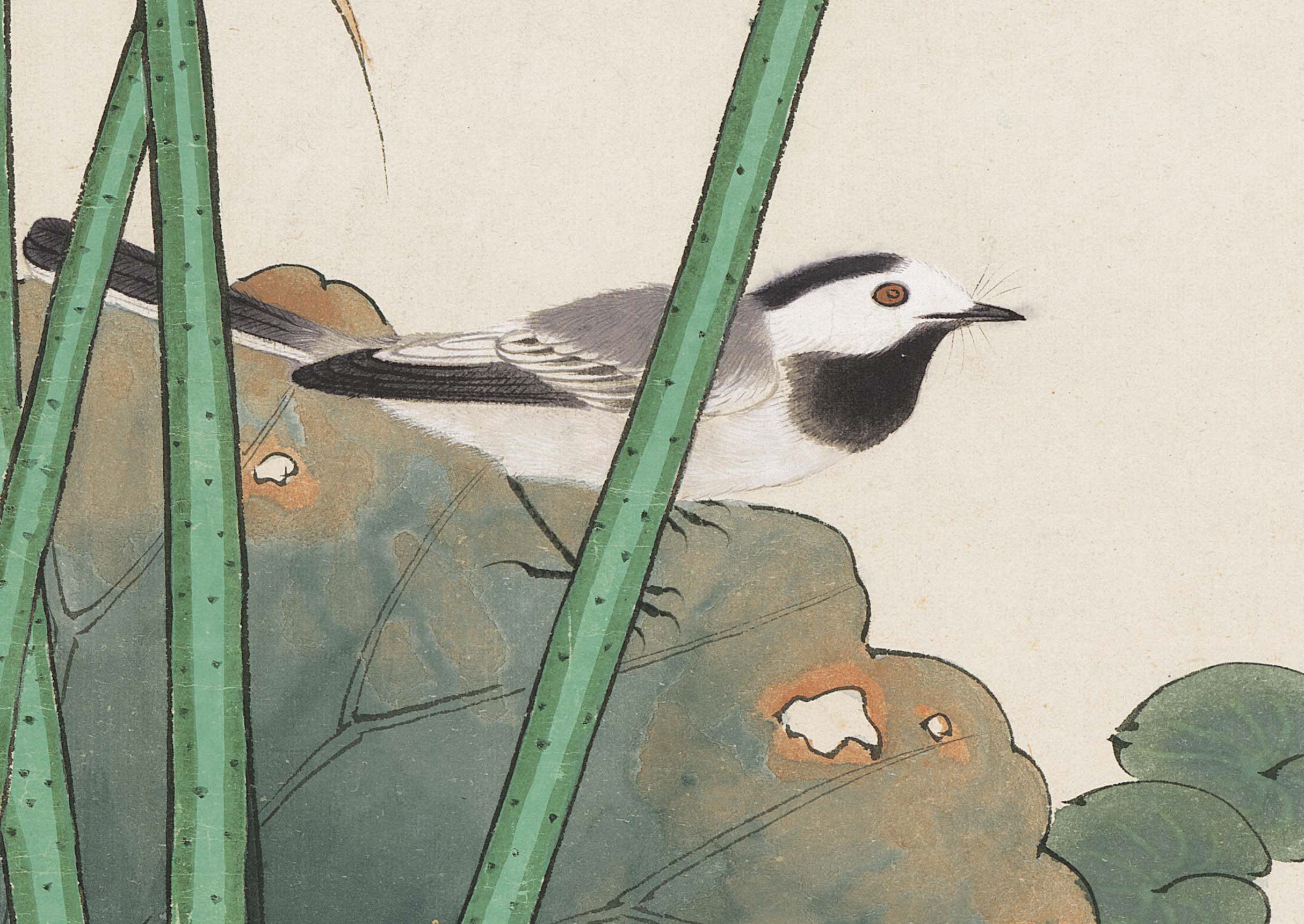 新品近代于非闇工笔画大师荷塘蜻蜓翠鸟荷花花鸟国画