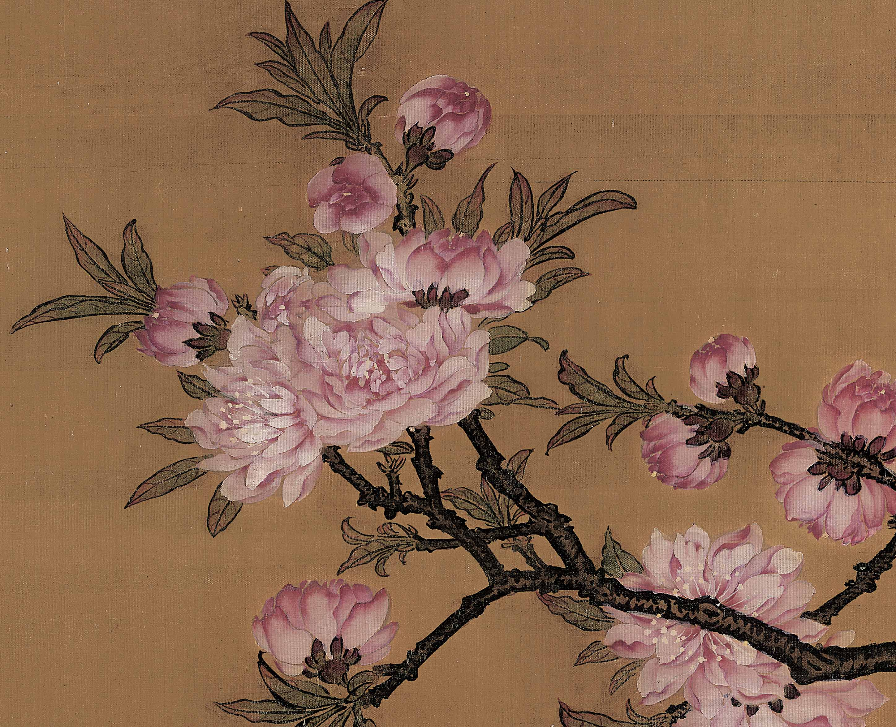 清高装饰画临摹复制清微其佩高清微花鸟工笔古代国画