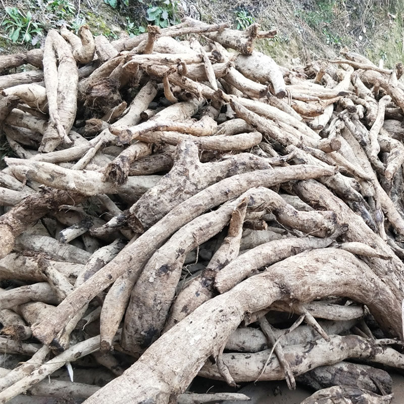 野葛湘西张家界野生葛根深山天然手工纯野早餐天然粉粉食品
