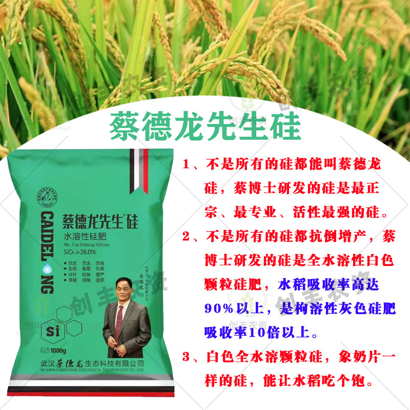 硅肥水稻分蘖蔡德德龙返青肥肥柯杈硅肥水抗倒其他肥料