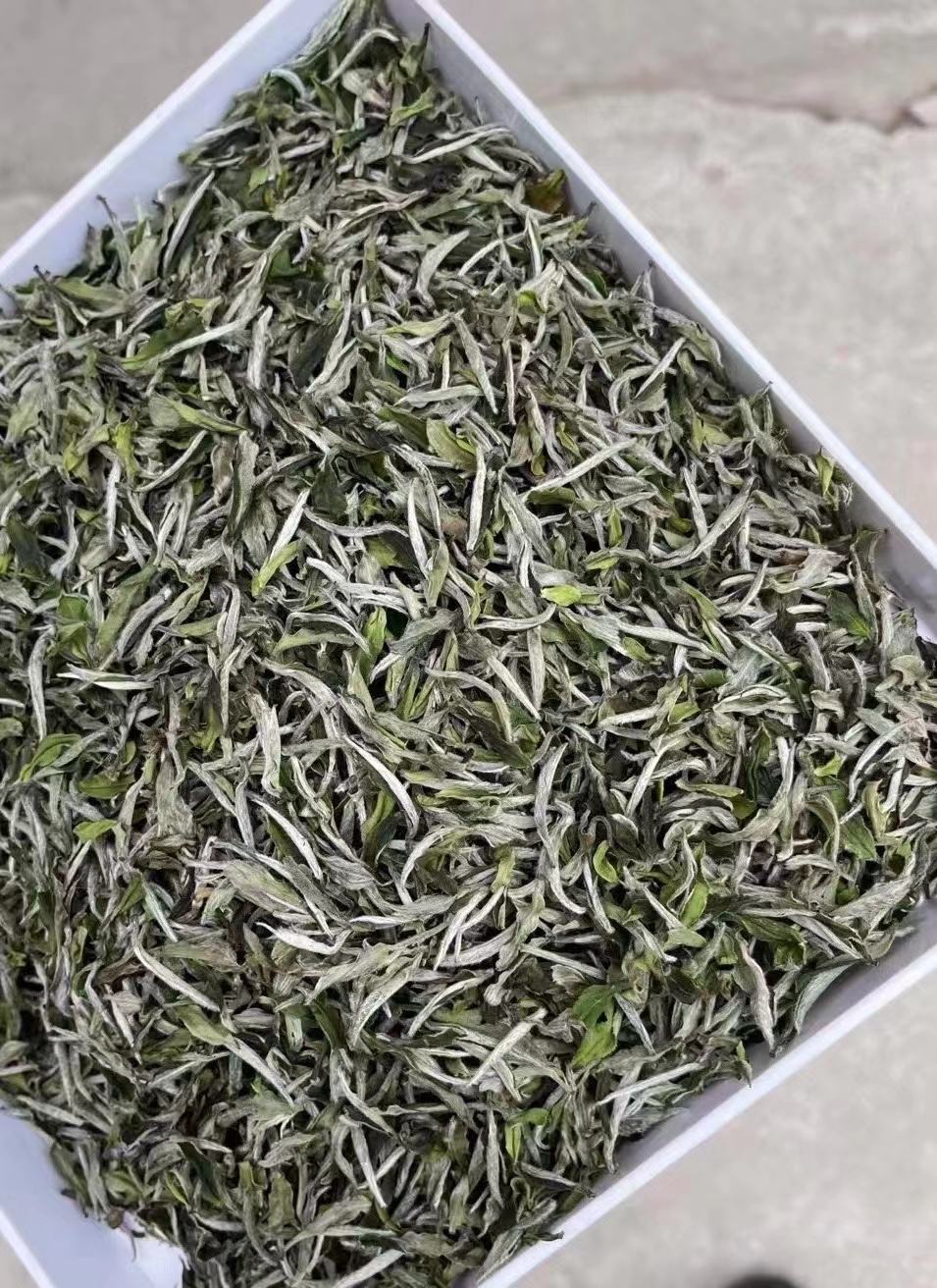 2022福鼎前头白牡丹100g散装特级花香自然萎凋白牡丹