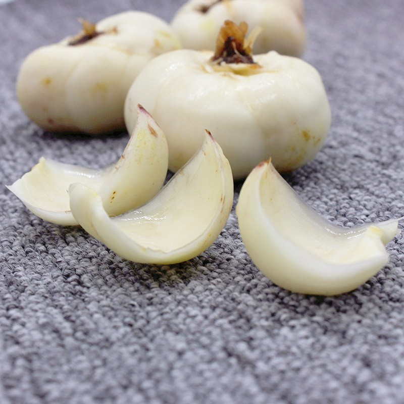 百合云南新鲜500g食用其它