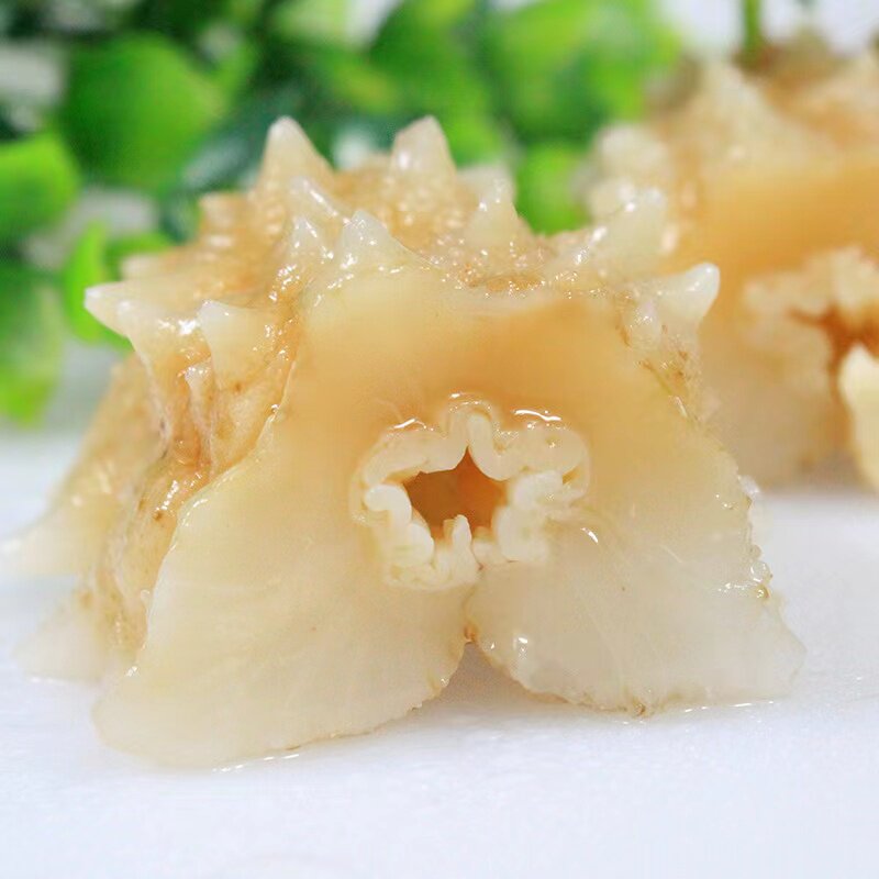 海参参非黄玉参即冰岛刺参黄金大连淡干干品