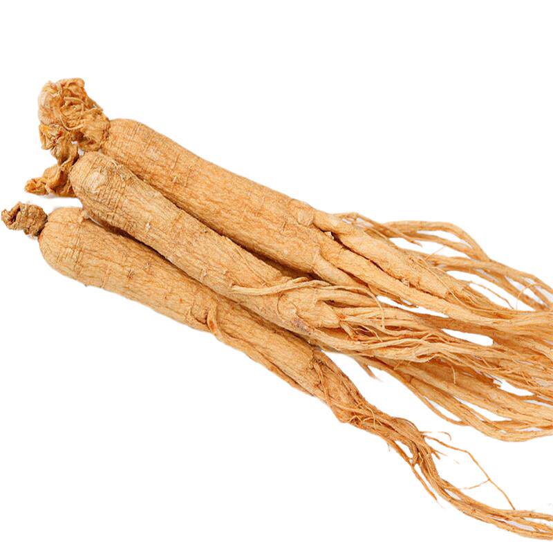 精选500g东北东北人人参生晒参干长白山6年整枝人参