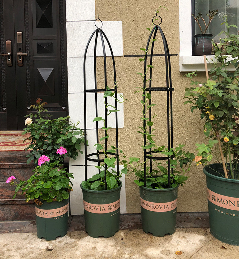 花园生活花柱柱形架爬藤架园艺支架植物攀爬花架