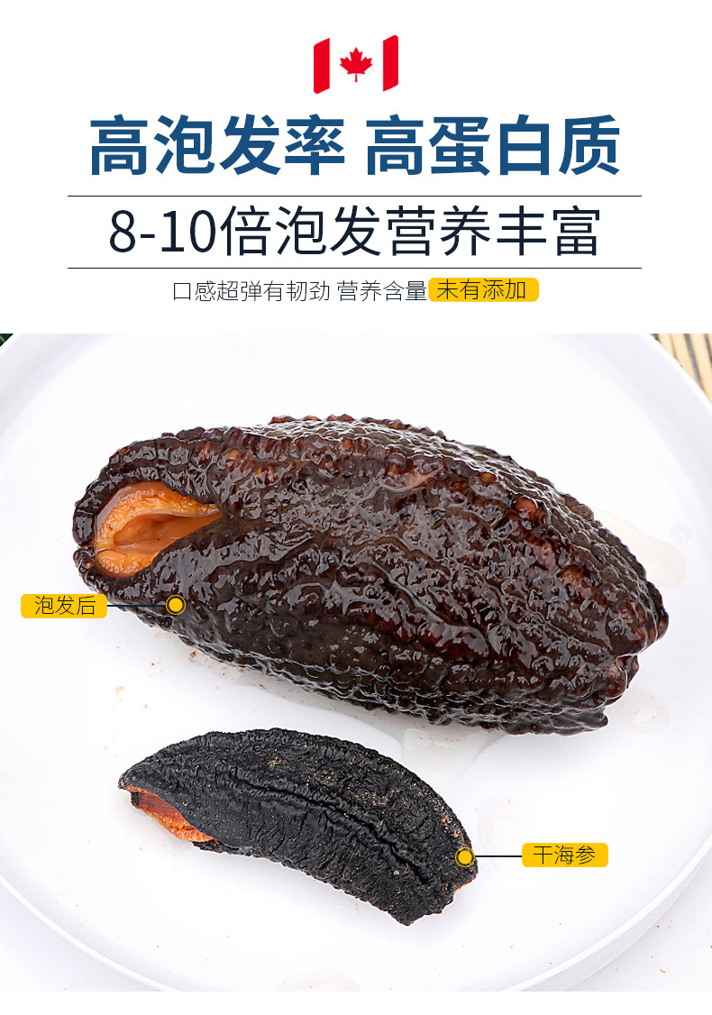 加拿大代购直邮北极野生海参454g干红极参干品