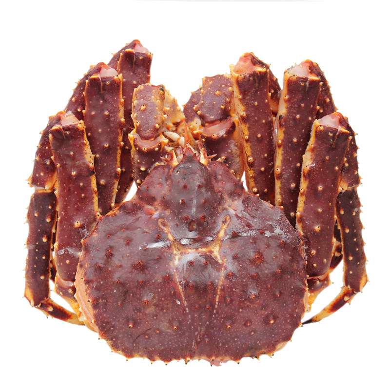 阿拉斯加深海野生进口鲜活冻红帝王海蟹螃蟹8-10斤帝王蟹