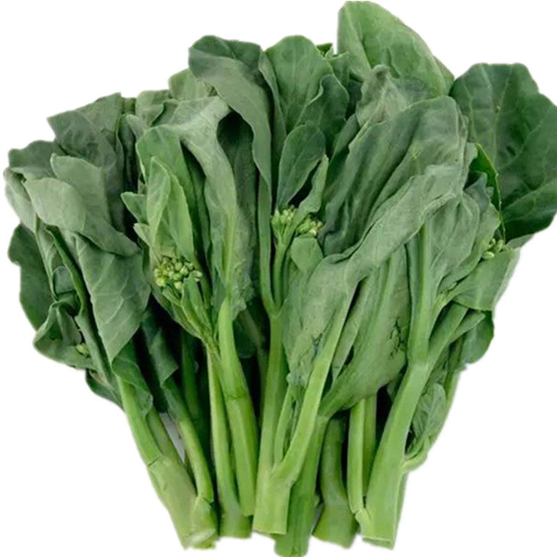 芥兰菜种子大全油嫩黄花迟芥蓝种籽芥蓝菜大田盆栽秋冬季蔬菜种孑