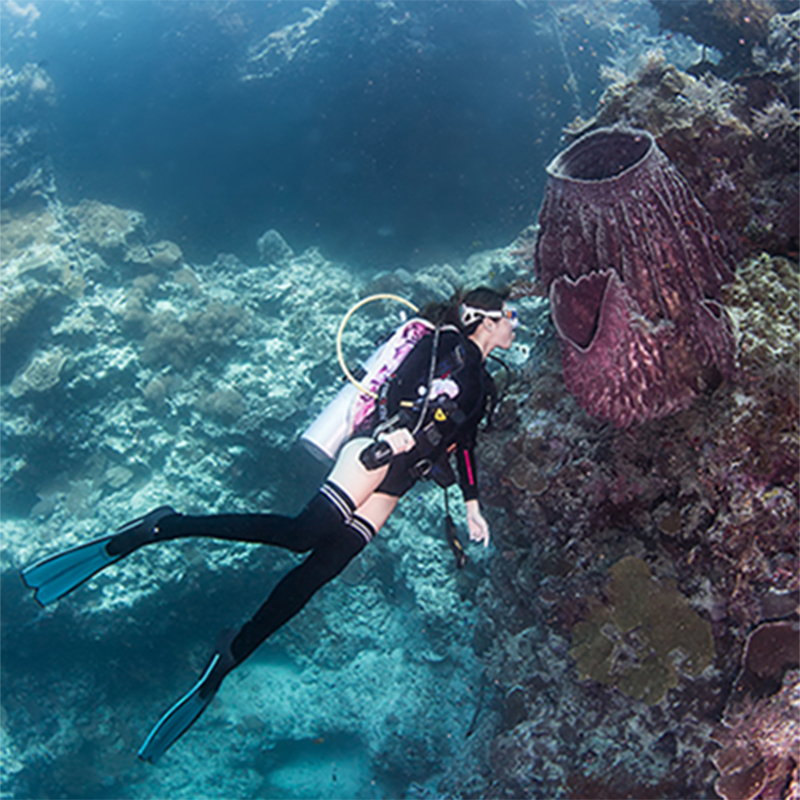 hydrone2mm潜水长袜长筒过膝湿衣材质防寒防滑潜水袜