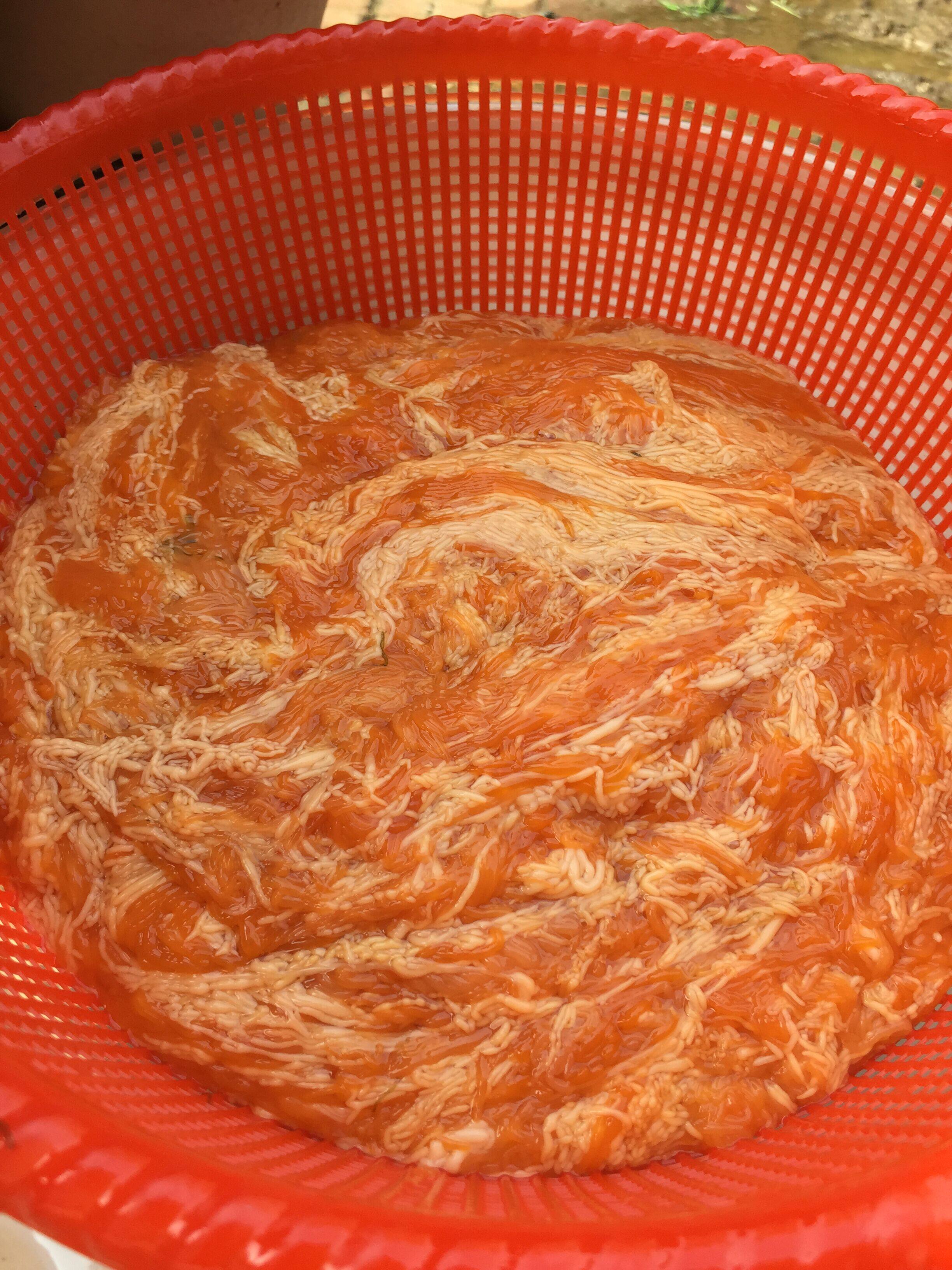 烟台 芝罘岛 老徐家 野生海参花 海参籽 海参卵500g 108元