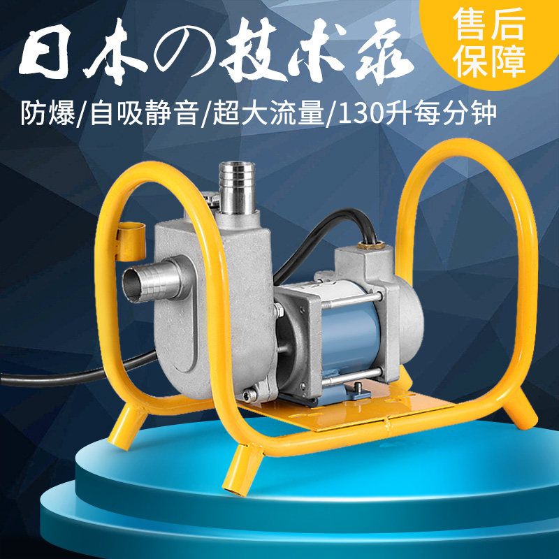 油泵电动抽油12v24v汽油柴油防爆15寸导油流量电泵