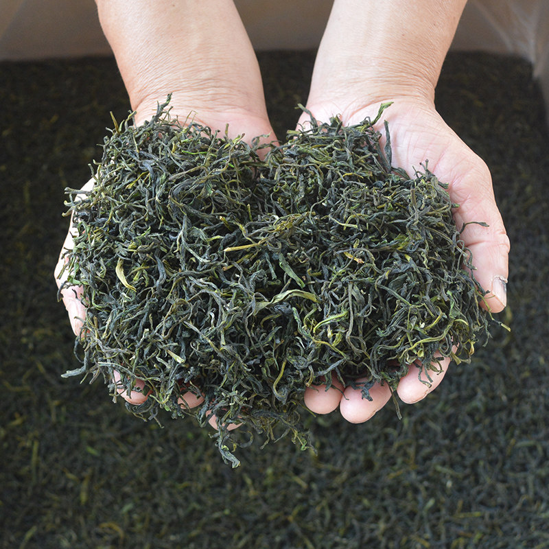 散装一斤石台硒茶仙寓山安徽高山黄山毛峰耐泡牯牛降野茶雨前袋装