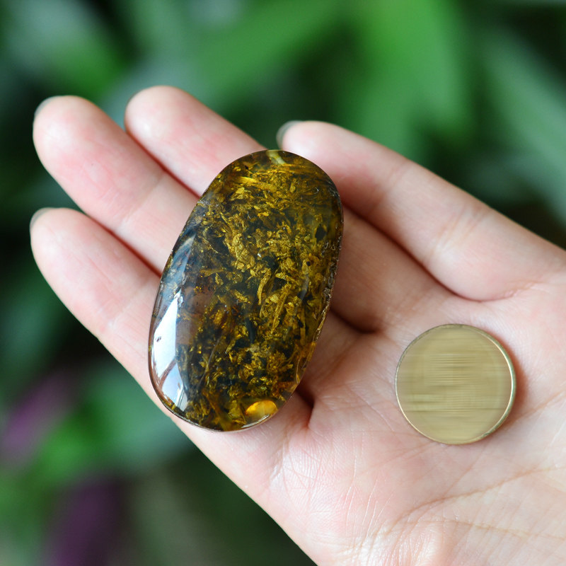 ecats天然琥珀植物珀风景珀原石随形项链吊坠挂件附送鉴定证书