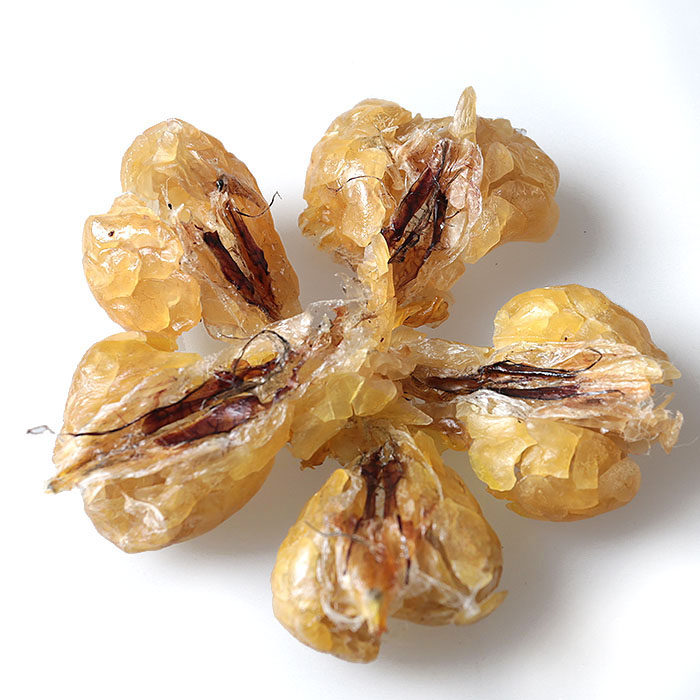 东北老农长白山亚种雪蛤块油吉林特产蛙油蛤蟆油连联体油干燥保真