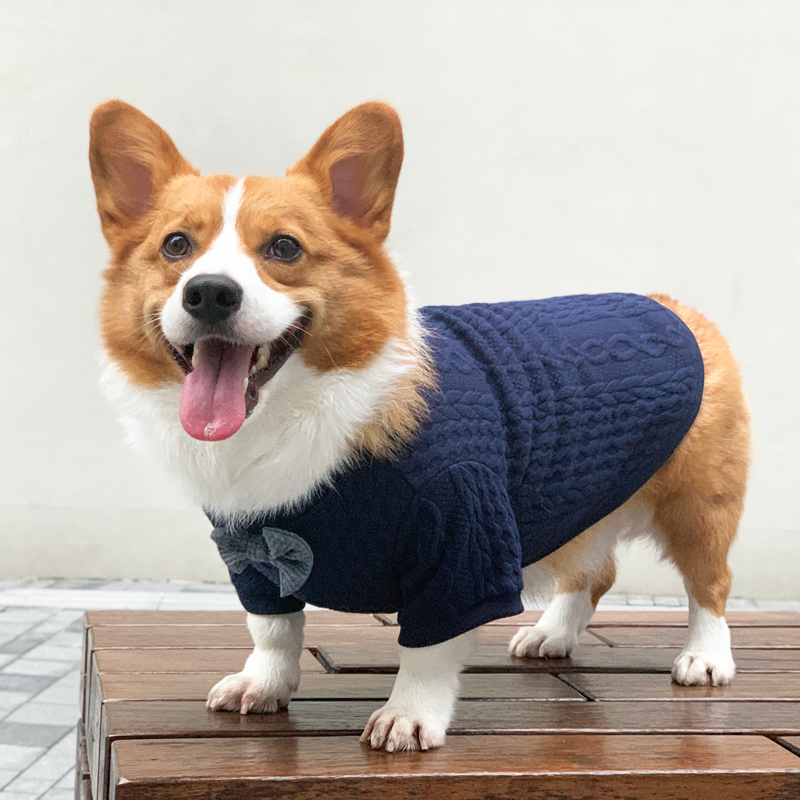 衣服柯基狗狗秋冬冬装可爱保暖中小型犬幼犬比狗宠物服装