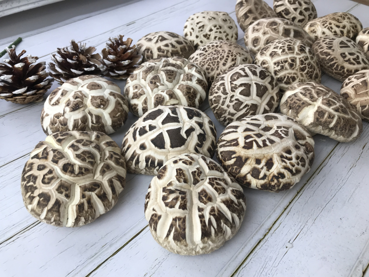 农家特产特大花菇剪脚无根冬菇干货