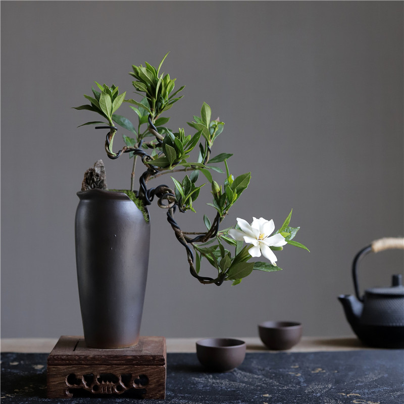 栀子花飘枝悬崖造型盆景室内客厅书房四季花卉绿植