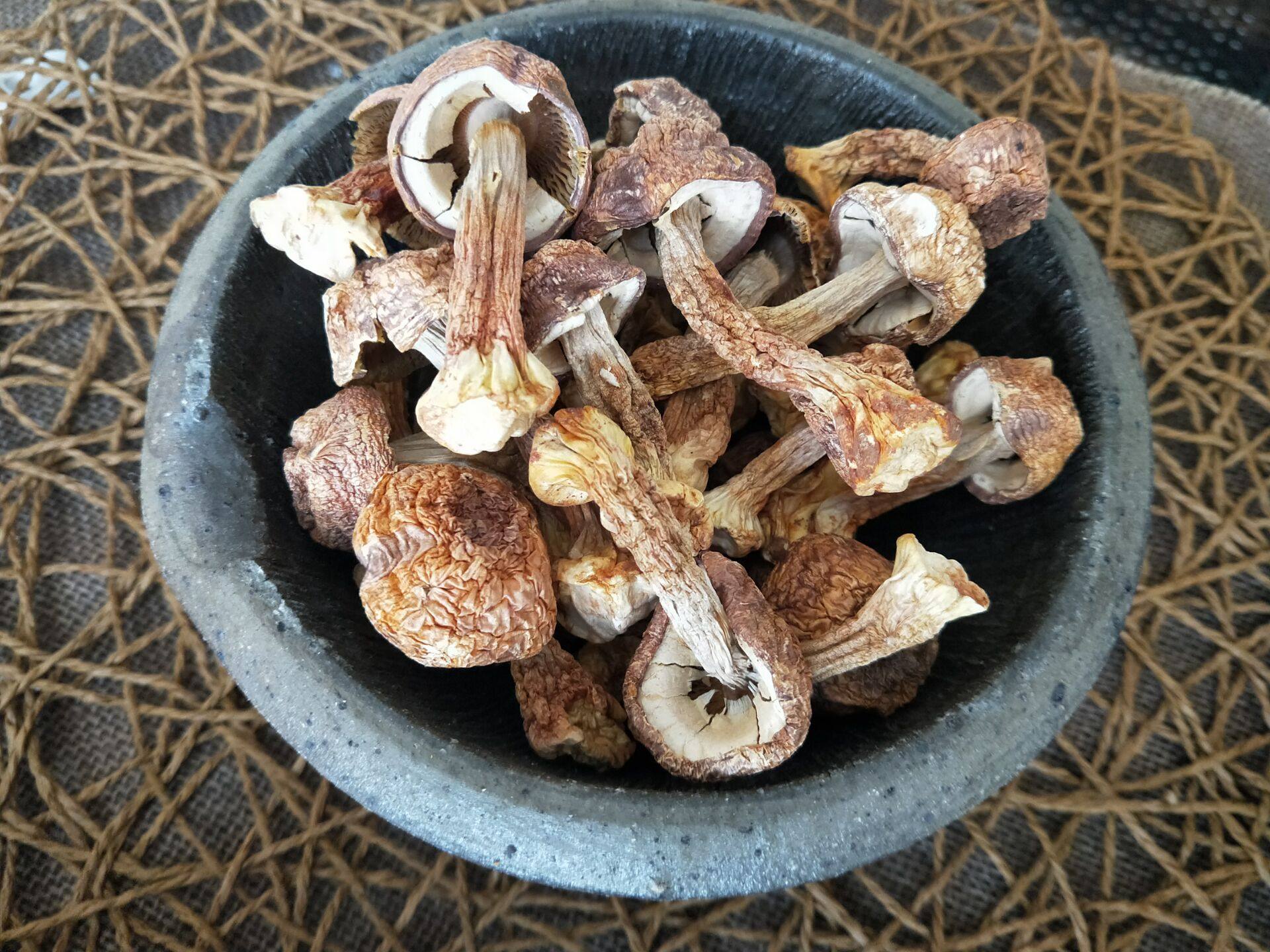 干货姬松2020新货野生香格里拉茸菌土特产蘑菇250g姬松茸