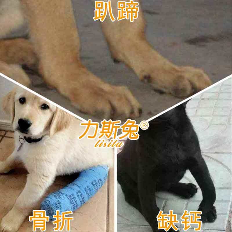 骨折前腿泰迪金毛矫正趴蹄护腿关节夹板固定狗牵引绳