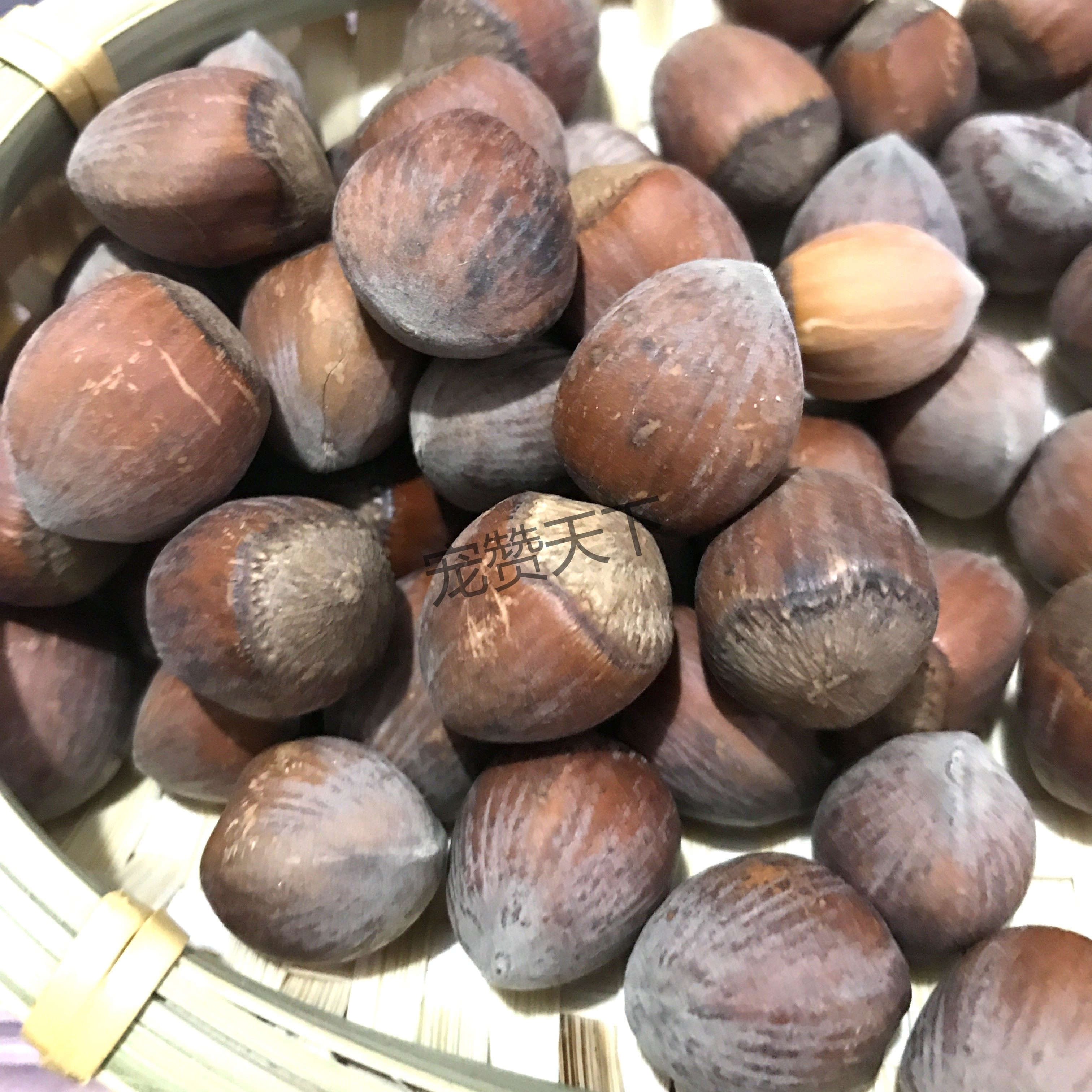 榛子松鼠飞鼠用品粮食食物零食饲料坚果生大玩具