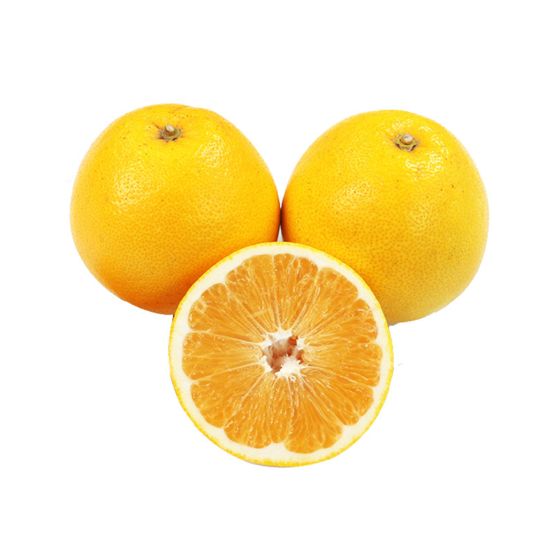 格蕾丝小姐海苔肉松曲奇饼干代餐格蕾丝小姐海苔肉松曲奇饼干代餐休闲