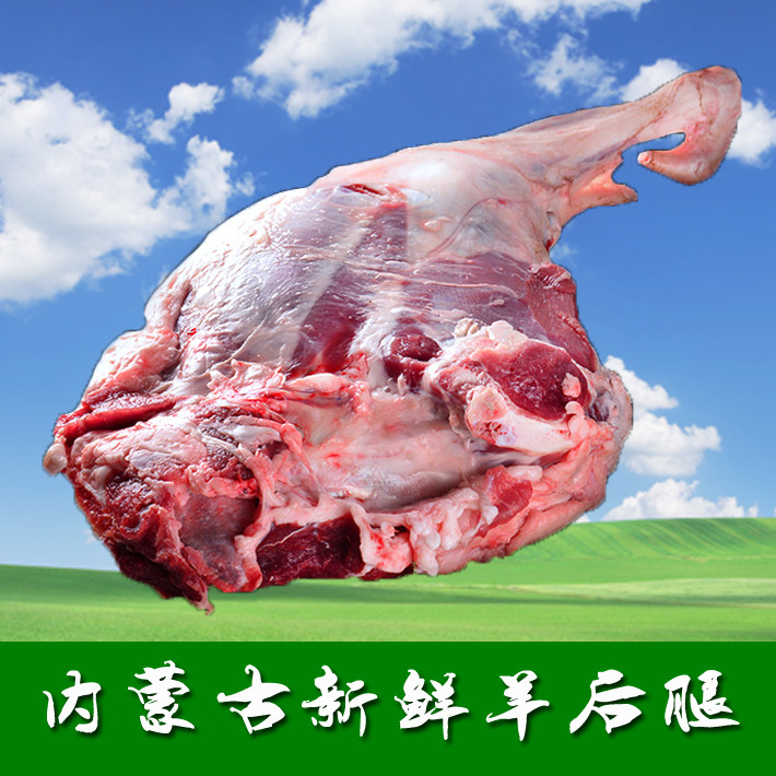 羊肉 精选锡林郭勒盟羔羊后腿 内蒙古 新鲜羊腿肉 整只 羊排