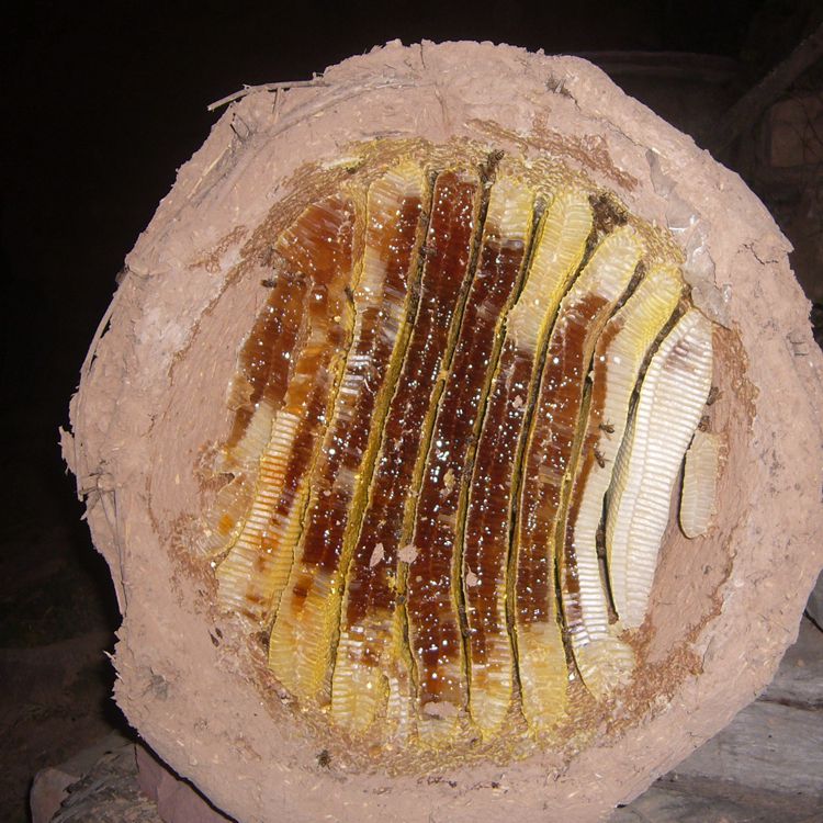 驭蜂人自产直销土蜂蜜t然野生百花蜜儿童孕妇结晶老式木桶冬蜜