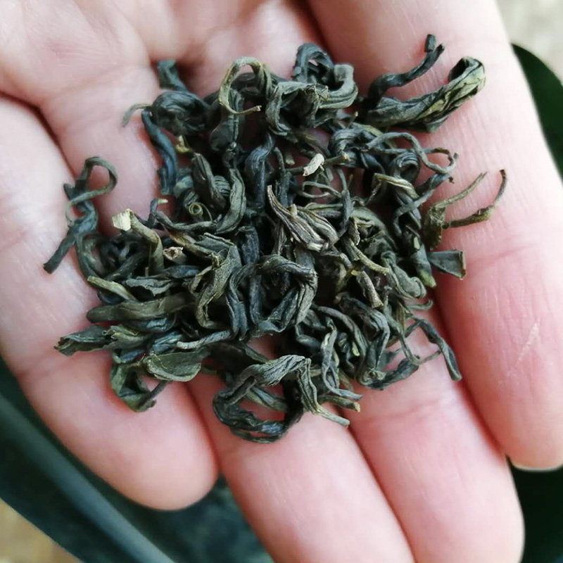 正宗梅州客家绿茶明前茶叶2020新茶蕉岭梅县其它干货