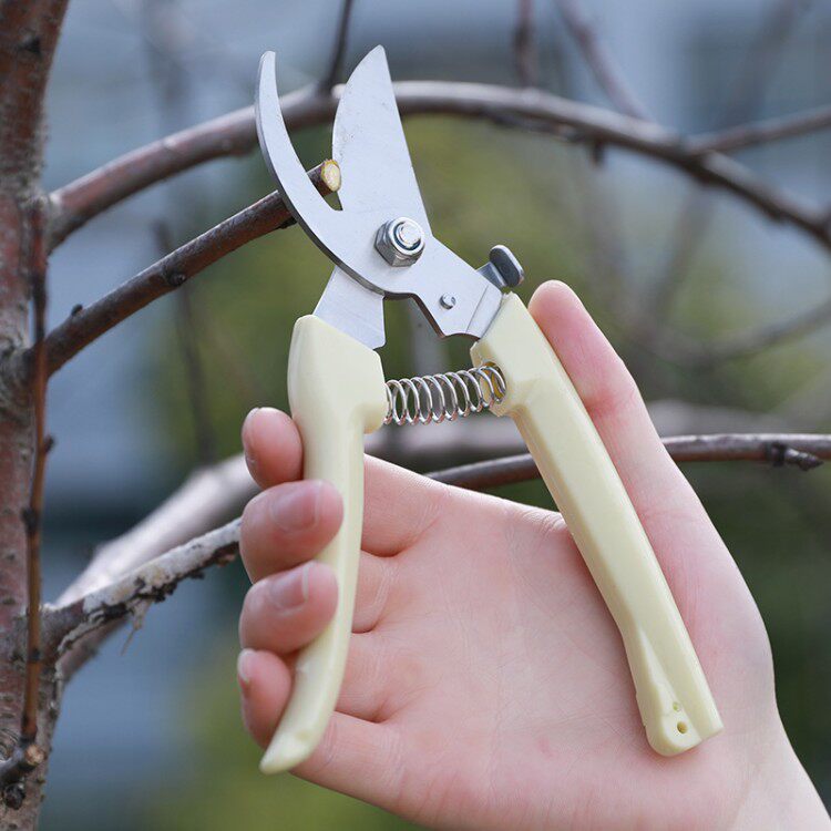 不锈钢修枝多功能园艺剪刀果园花枝摘果园林树枝园艺剪