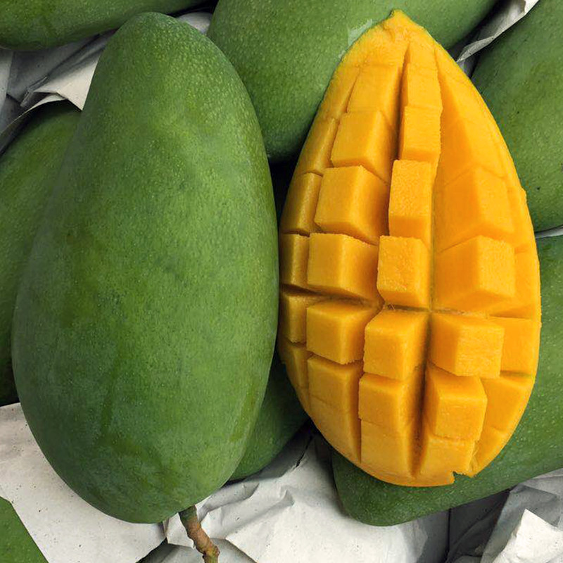 芒果新鲜包邮越南广西大青芒10斤现摘整箱香芒秒杀海南小台农贵妃