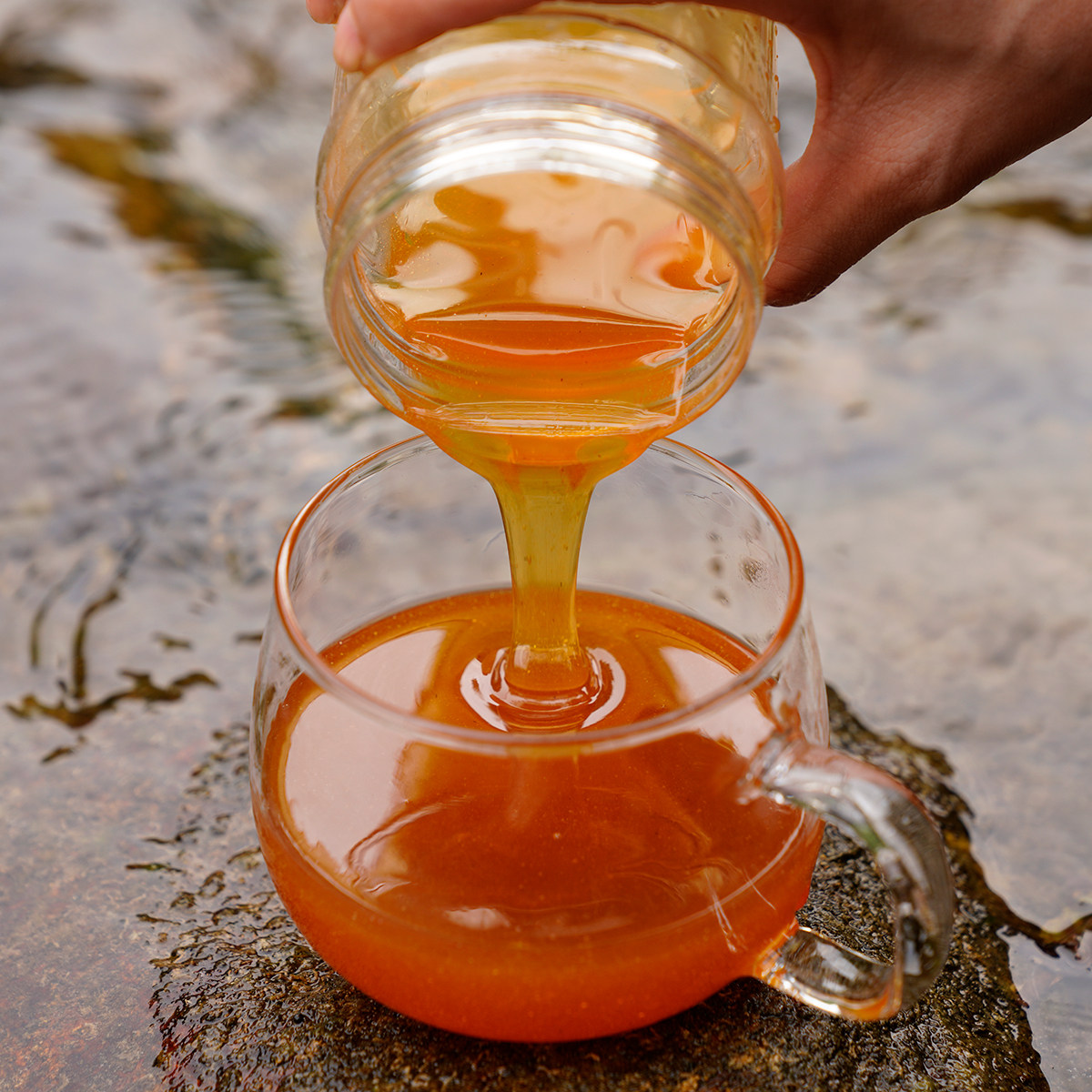 晚桔丨深山木桶百花中蜂土蜂蜜 一年一割成熟封盖珍稀食补500g