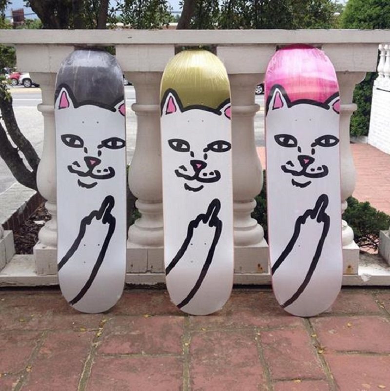 板面美国进口ripndip贱猫滑板中指进阶双翘学生滑板