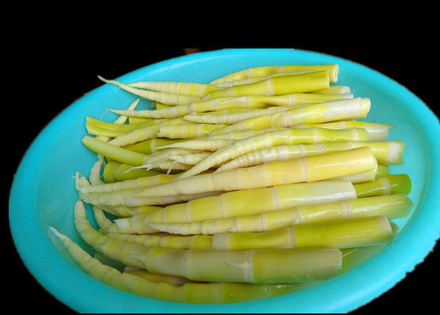 竹笋新鲜野生农家罗汉小春春笋笋尖蔬菜串串其它干货