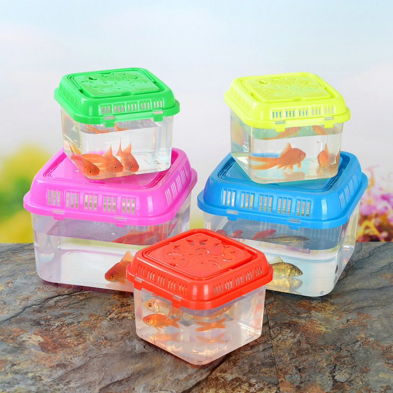 新款pp材质耐摔塑料鱼盒方形手提鱼缸乌龟鱼缸